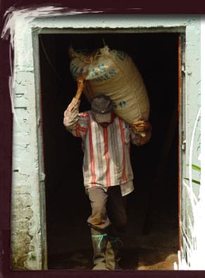 Colombian Supremo
