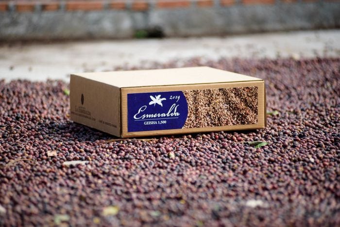 Panama Hacienda La Esmeralda Geisha 1,500 - 2 oz sampler, 4 oz pouch, or 12 oz bag