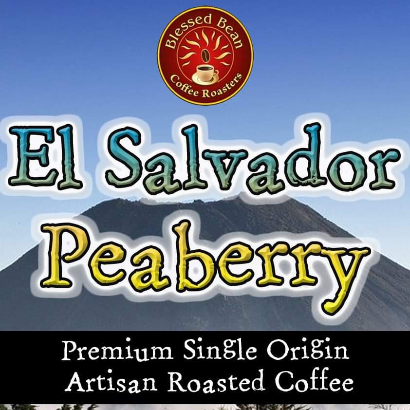 El Salvador Peaberry