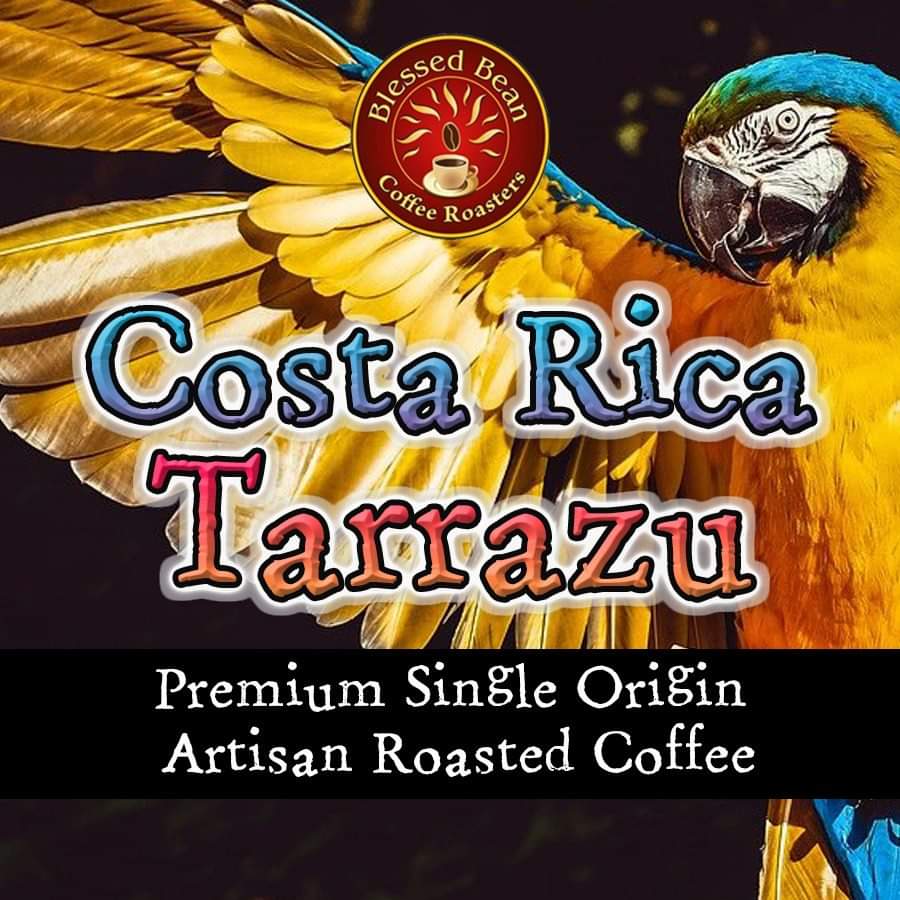 Costa Rica Tarrazu