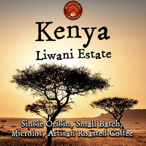 Kenya: Liwani Estate